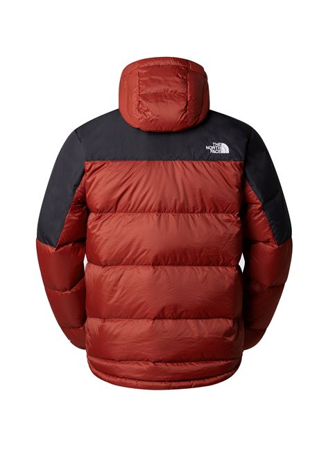 DIABLO HOODE DOWN JACKET BRANDY BROWN MEN THE NORTH FACE | Jackets | NF0A4M9L-WEW1